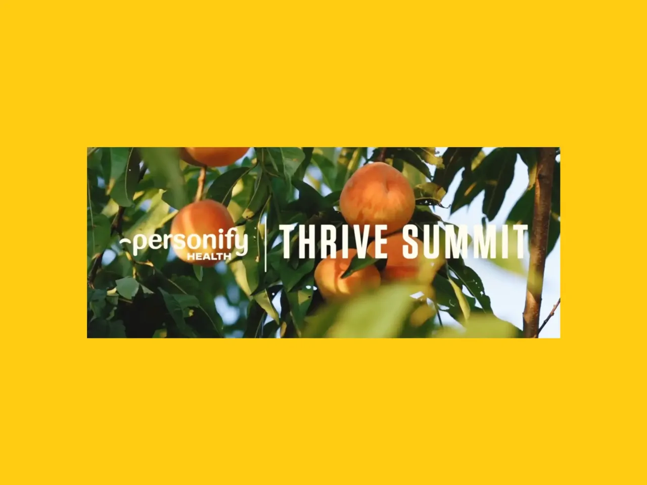 Thrive Summit